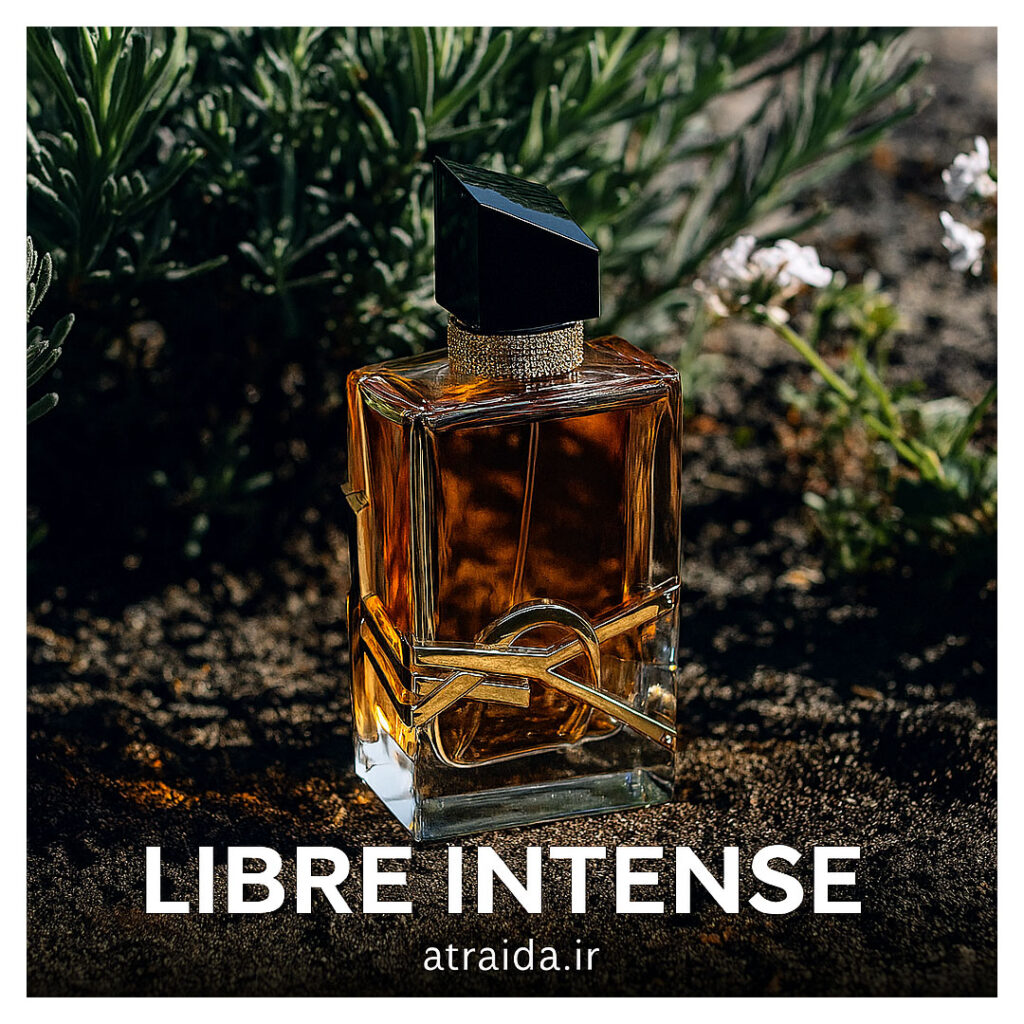 عطر لیبره اینتنس در فضایی طبیعی و لوکس با نور گرم – عطر آیدا ( امیر عطری )